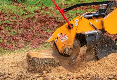 Stump Grinding and Debris Removal
