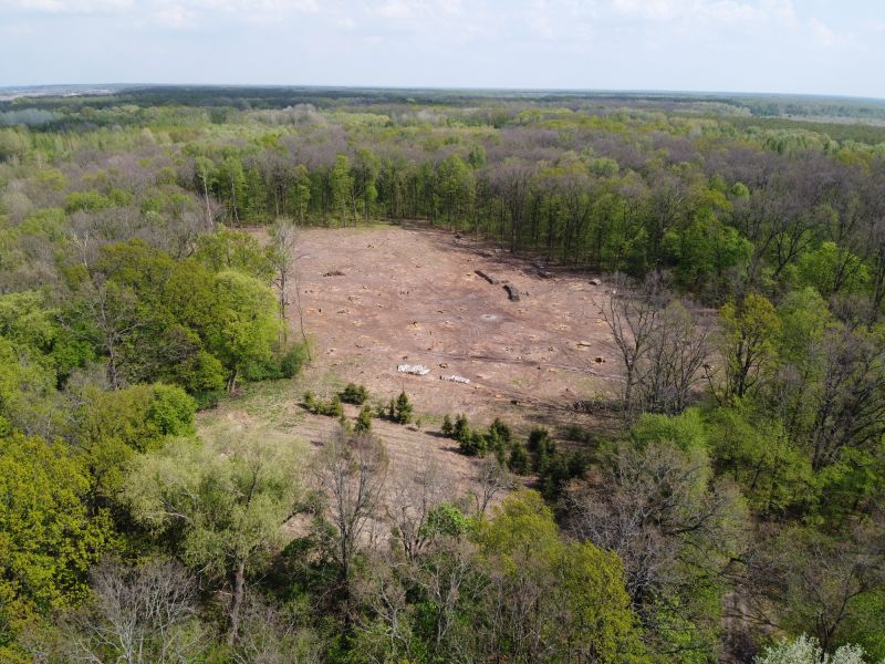 Fall Land Clearing Site