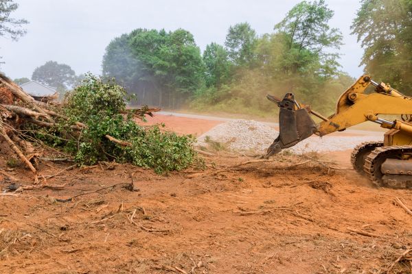 Cost of Forestry Mulching Service in Findlay