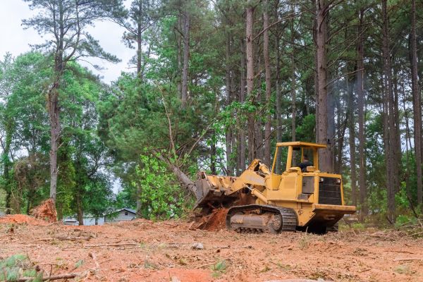 Cost of Property Clearing in Findlay