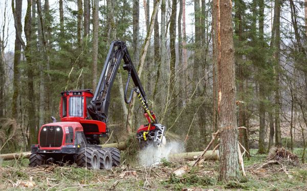 Cost of Forest Clearance Service in Findlay