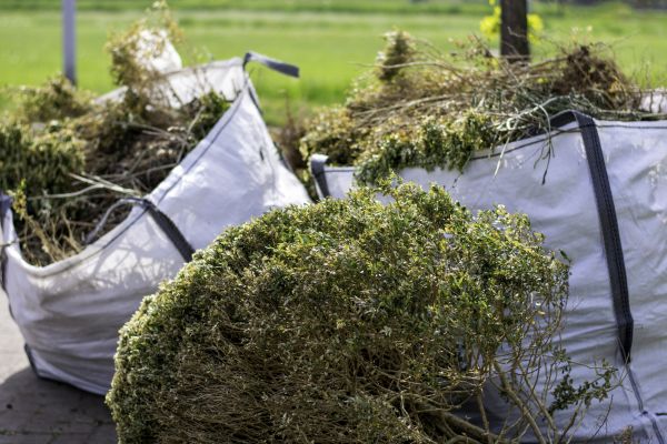 Cost of Bushes Clearing in Findlay