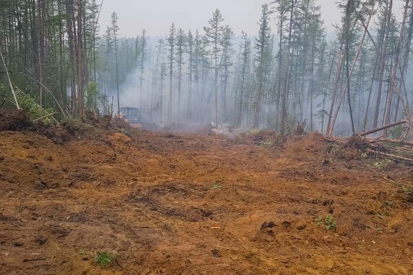 Cost of Hill Clearing in Findlay