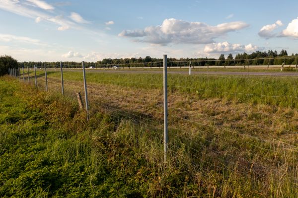 Cost of Property Line Clearing in Findlay