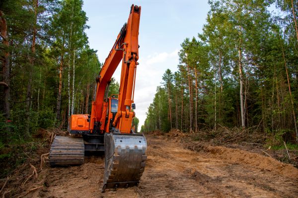 Cost of Backhoe Land Clearing in Findlay