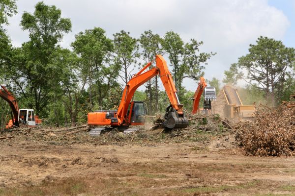 Cost of Commercial Lot Clearing in Findlay