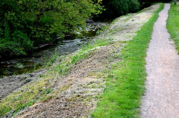 Cost of Trail Cutting in Findlay